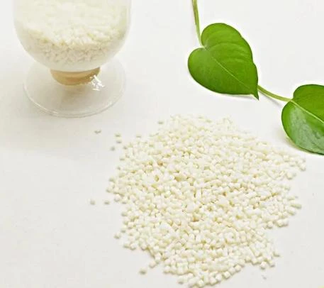 xylitol snacks
