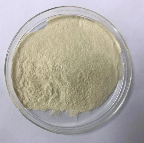 2-Aminobenzimidazole CAS 934-32-7