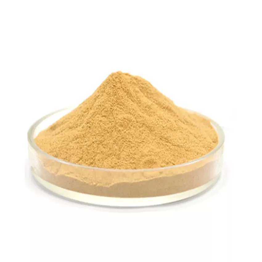diethanolamine in shampoo