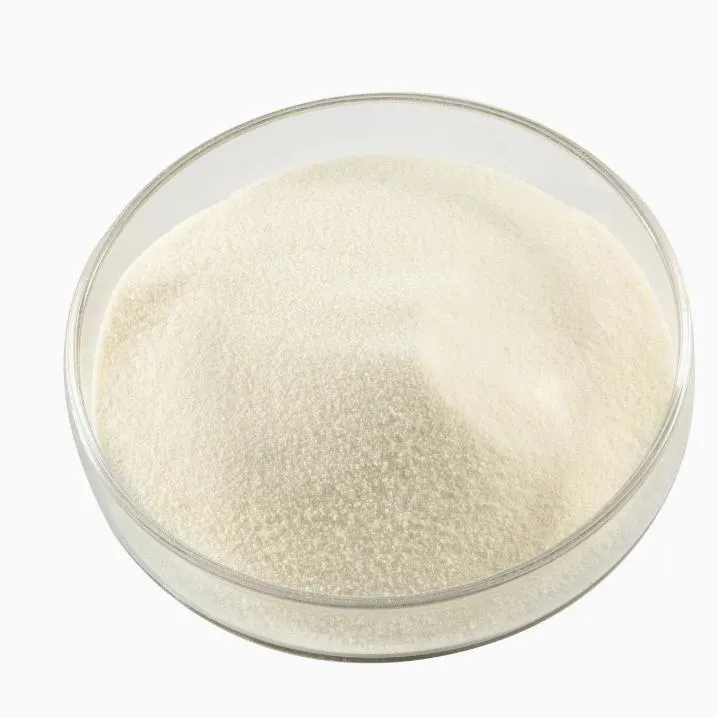 xanthan gum e