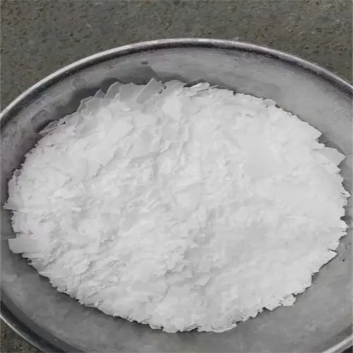 xylitol essential 900g