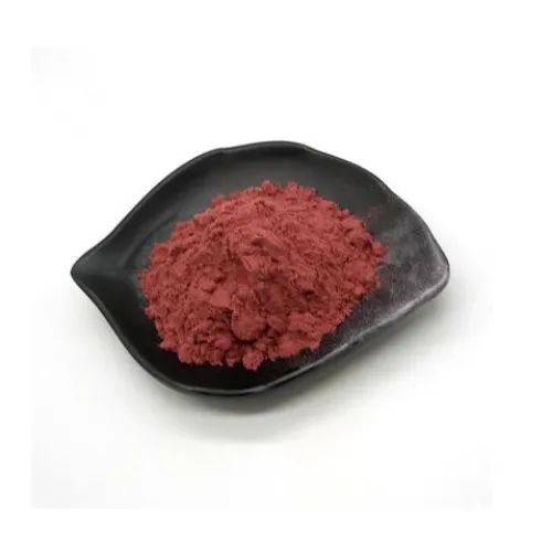 xylitol safe for humans