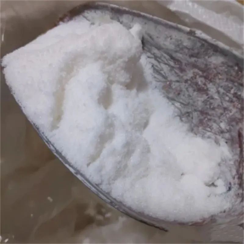xanthan gum powder